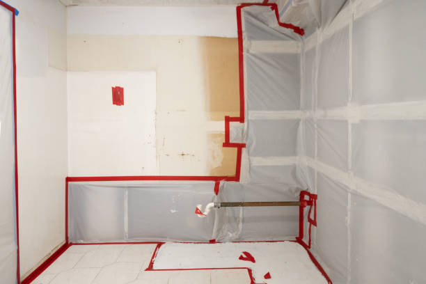 Environmental Consulting for Mold Prevention in Montara, CA