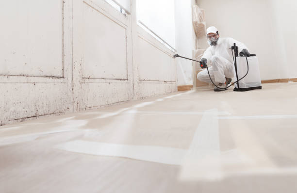 Biohazard Mold Removal in Montara, CA
